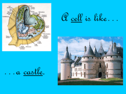A Cell Is Like A Castle