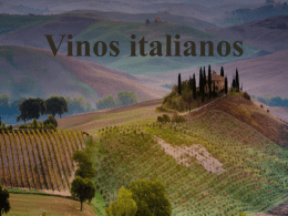 Cata de vinos Italianos