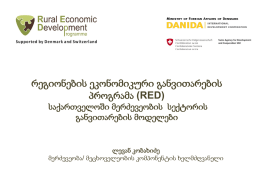 რეგიონების ეკონომიკური განვითარების პროგრამა (RED)