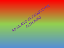 APARATO REPRODUCTOR FEMENINO - monicapatricia