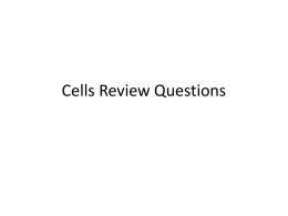 Cells Review Questions