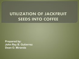 UTILIZATION OF JACKFRUIT SEEDS INTO COFFEE - ids