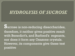 hydrolysis-of-sucrose