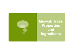 MEP001-Miswak-Trees-and-Ingredients