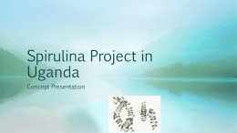 Spirulina Project in Uganda