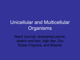 Unicellular and Multicellular Organisms
