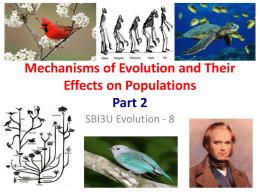 Mechanisms of Evolution and Their Effects on