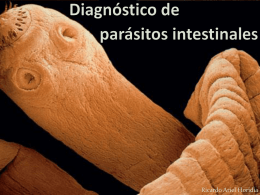 parásitos intestinales