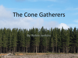 The Cone Gatherers