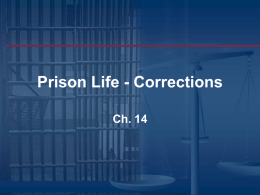 Prison Life - Corrections