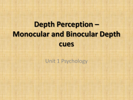 Depth Perception * Pictorial depth cues