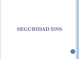 seguridad dns - SERVICIOS DE RED E INTERNET