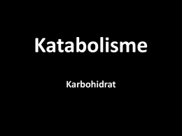 Katabolisme