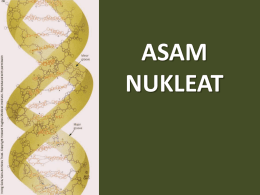 Asam Nukleat_Biokimia 2011
