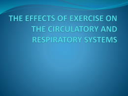 the effects of exercise on the circulatory and respiratory systems