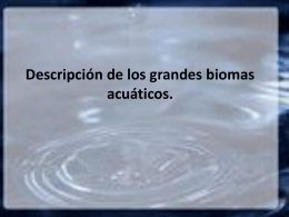 Descripción de los grandes biomas acuáticos. 0