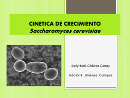 CINETICA DE CRECIMIENTO DE Saccharomyces cerevisiae