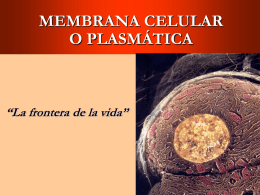 Presentacion 4 - Apuntes Cientificos