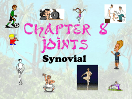 Joints - Synovial