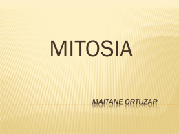 mitosia - bioter
