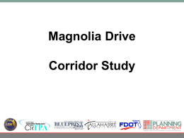 Magnolia Corridor-Partership-Final ppt