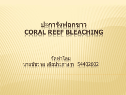 ปะการังฟอกขาว (Coral Reef Bleaching)