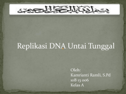 replikasi untai tunggal DNA