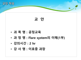 Flare system의 이해(1부)
