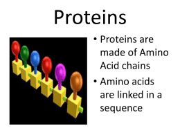 Proteins Review