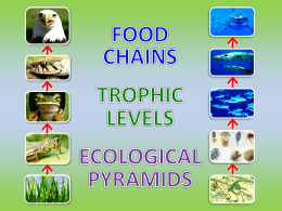 trophic level according to its
