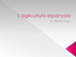 L`agricultura espanyola - geohistoria-36