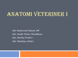 pengantar anatomi veteriner