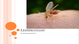 Leishmaniasis - Material de apoyo para Biología de Protozoarios