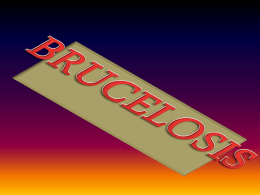 brucelosis