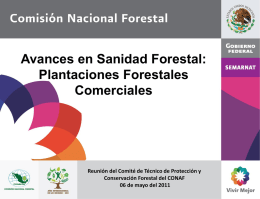 Avances en Sanidad Forestal: Plantaciones Forestales Comerciales