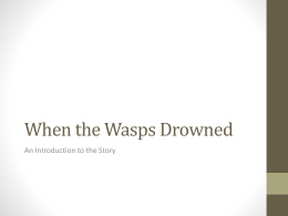 When the Wasps Drowned