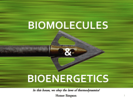 biomolecules and bioenergetics
