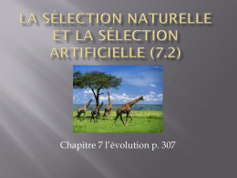 La sélection naturelle et la sélection artificielle (7.2)