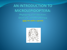 lecture_microlepidopoetra