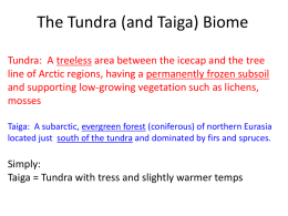 Tundra (and Taiga)