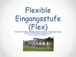 Flexible Eingangsstufe (Flex)