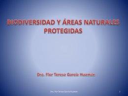 Biodiversidad y áreas naturales protegidos