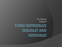 Fungi Reproduction - Chapman @ Norquay School