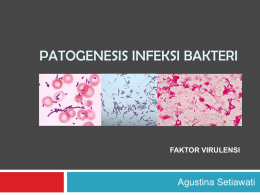 Mekanisme patogenesis