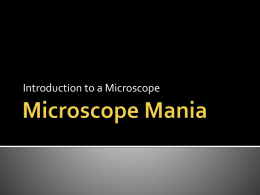Microscope Mania - Palmetto Middle School