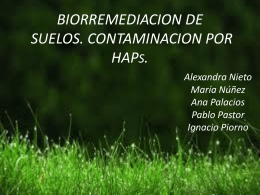 Biorremediacion - Quimica-Biologia-12-13