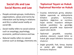 Social Life and Law Social Norms and Law