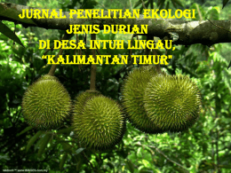 Jurnal Penelitian ekologi jenis durian PPT