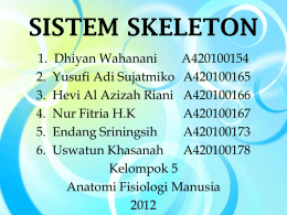 sistem skeleton kelompok 5