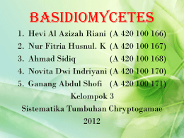 Basidiomycetes Kel. 3
